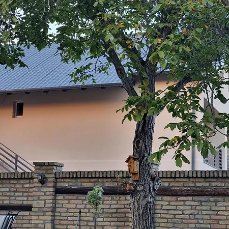 Sobe Ava * Palić