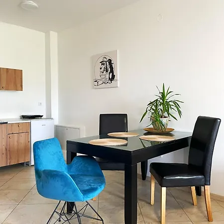 公寓 Sobe Ava 帕利克